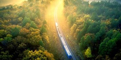 Train running through sunlit forest
